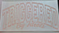 Triggered By Idiots- Transfer design