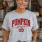Pumpkin Spice Fall Graphic Tees/Cute Pumpkin Shirt/Everyday Comfy & Cozy Tops